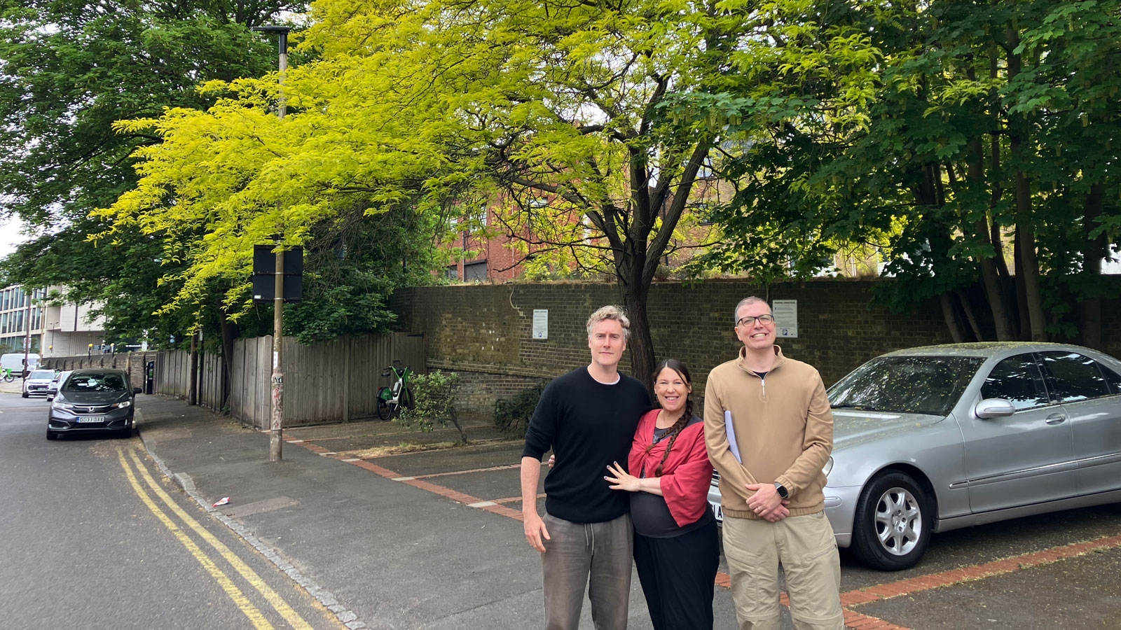 Greenwich street trees still face cutback - despite residents' campaign - The Greenwich Wire